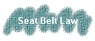 Seat Belt Law