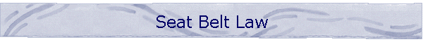 Seat Belt Law