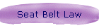 Seat Belt Law